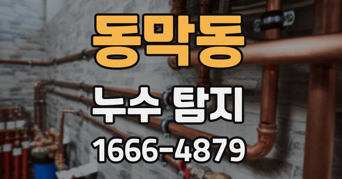 동막동 누수 탐지