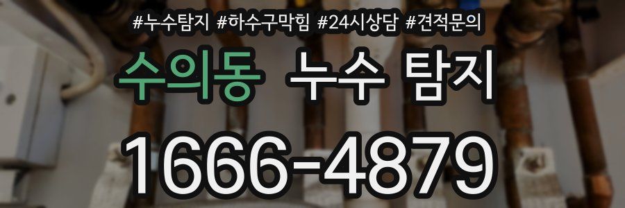 수의동 누수 탐지