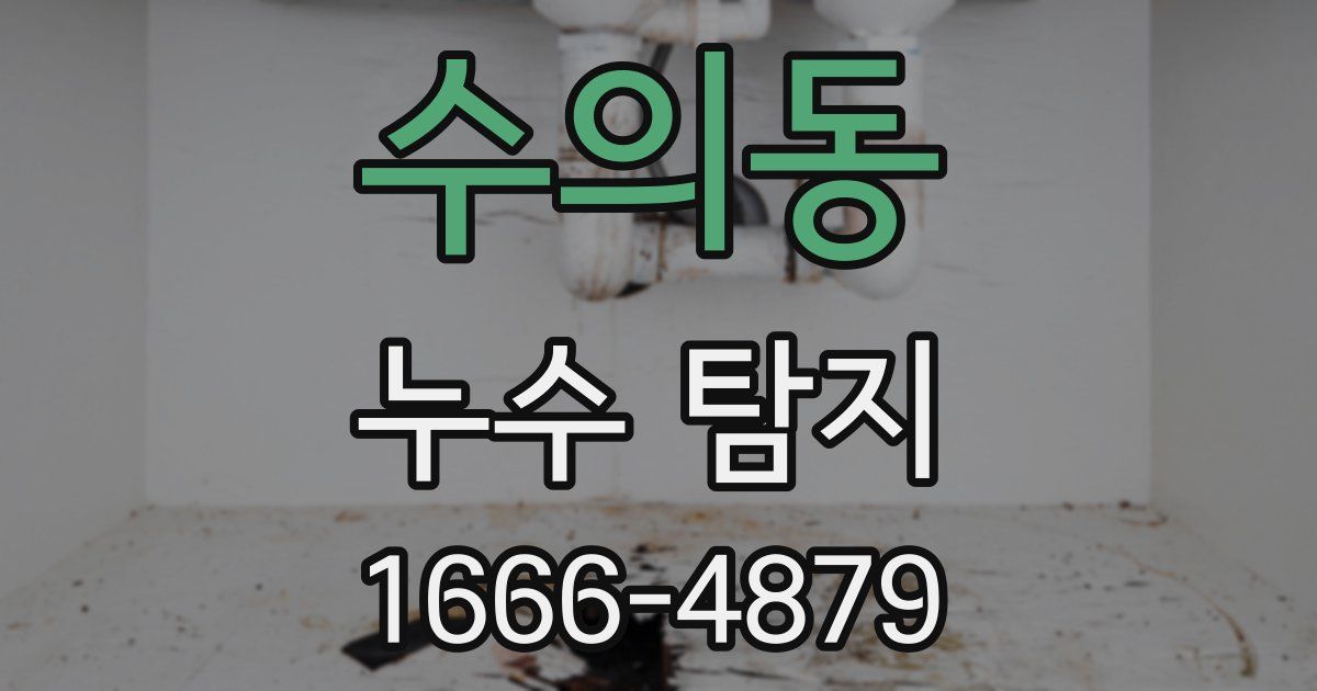 수의동 누수 탐지