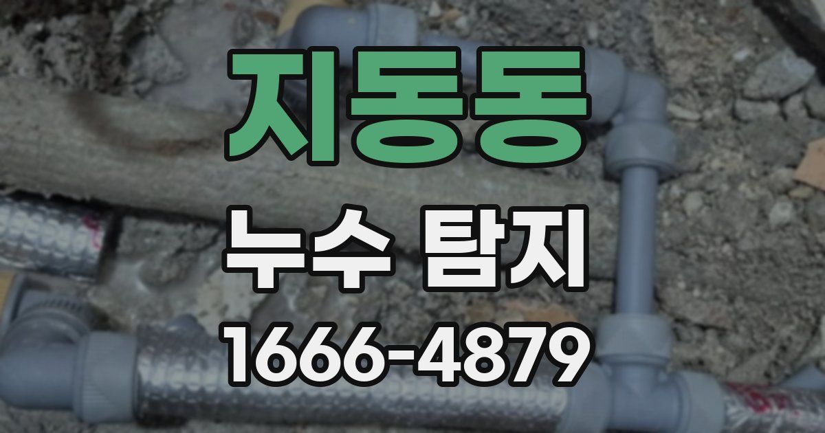 지동동 누수 탐지
