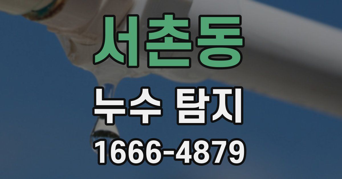 서촌동 누수 탐지