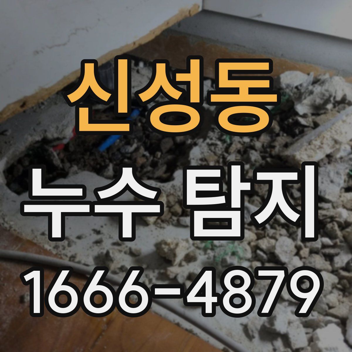 신성동 누수 탐지