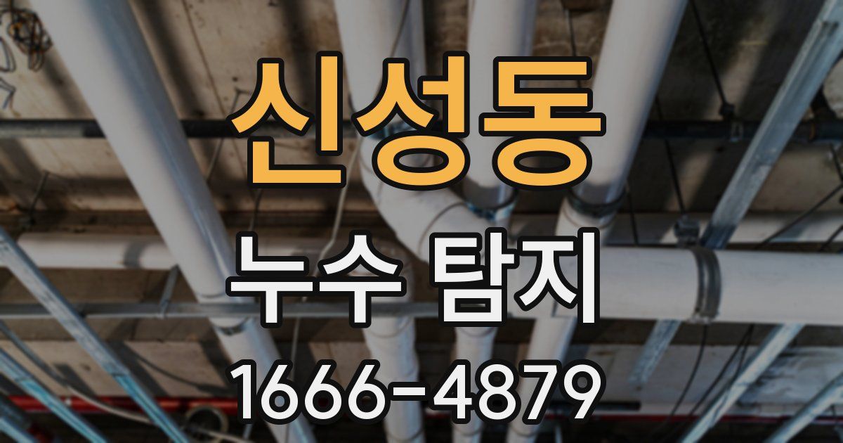 신성동 누수 탐지