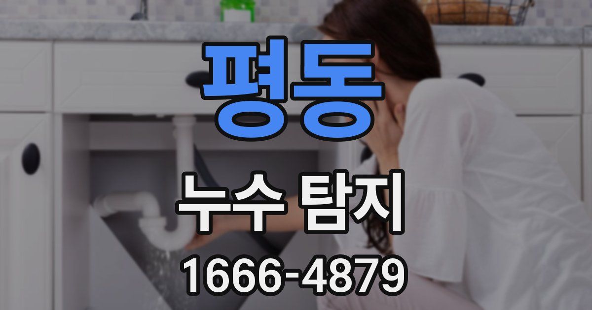 평동 누수 탐지