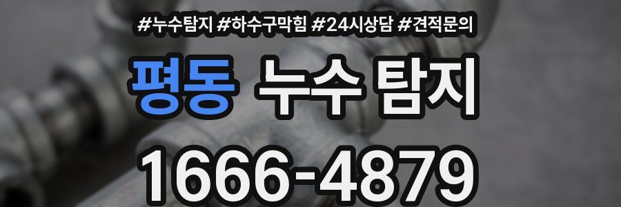 평동 누수 탐지