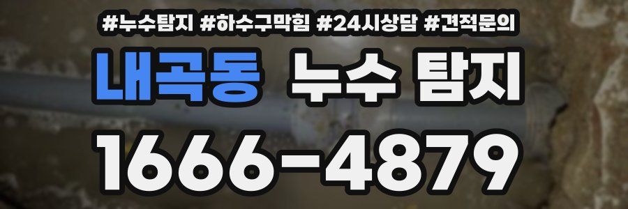 내곡동 누수 탐지