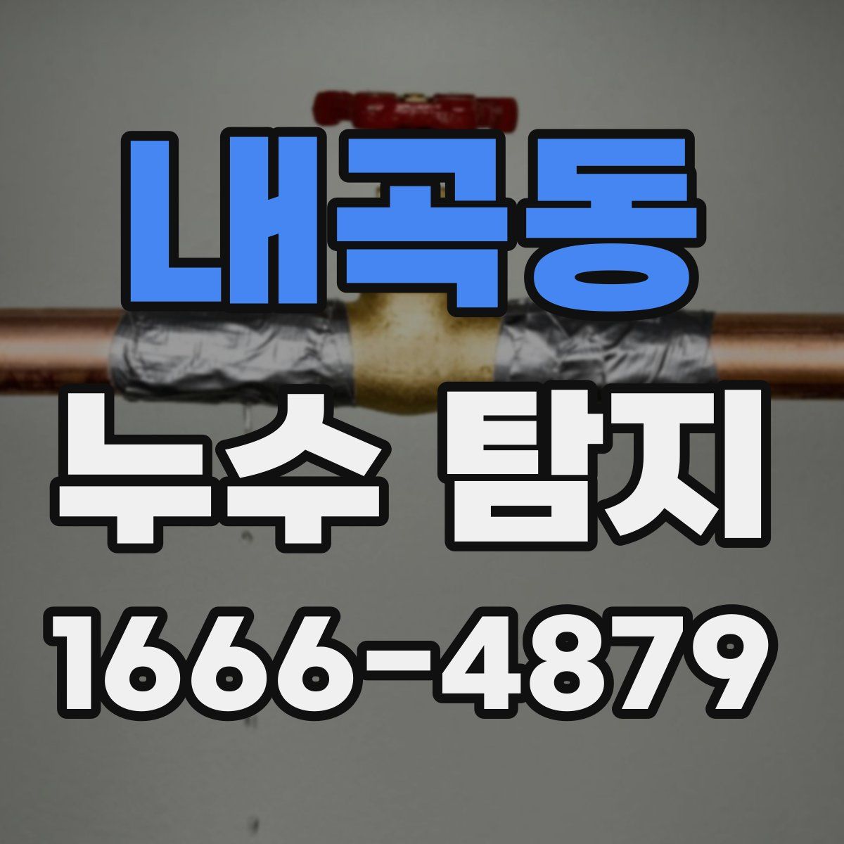 내곡동 누수 탐지