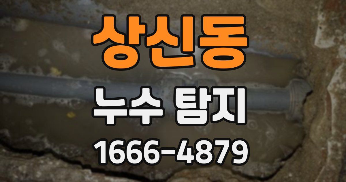 상신동 누수 탐지