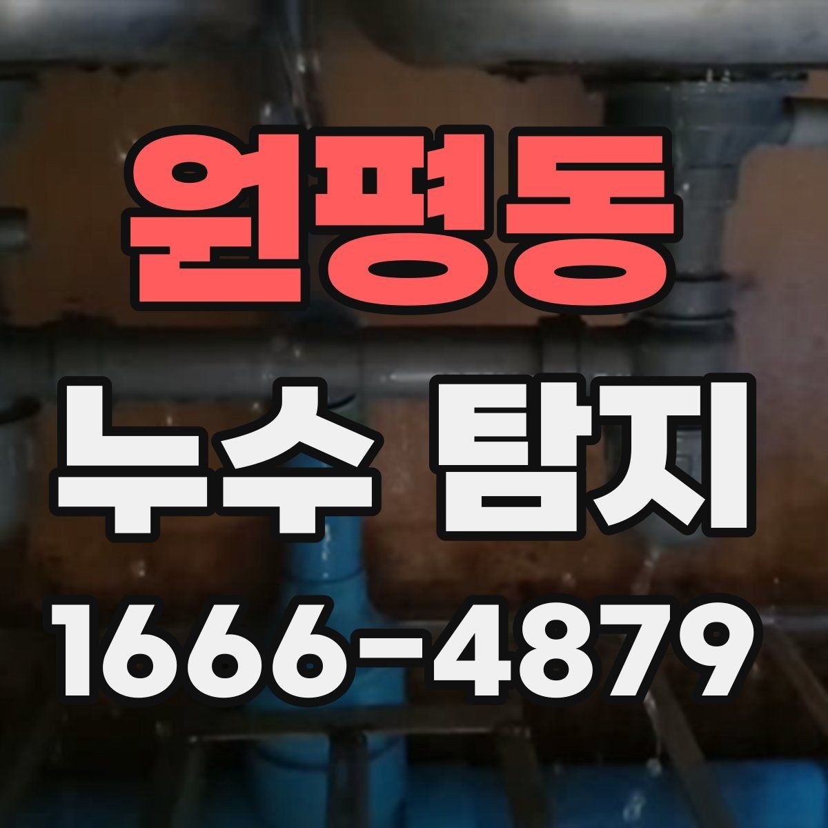 원평동 누수 탐지 과정과 점검 항목 알아보기