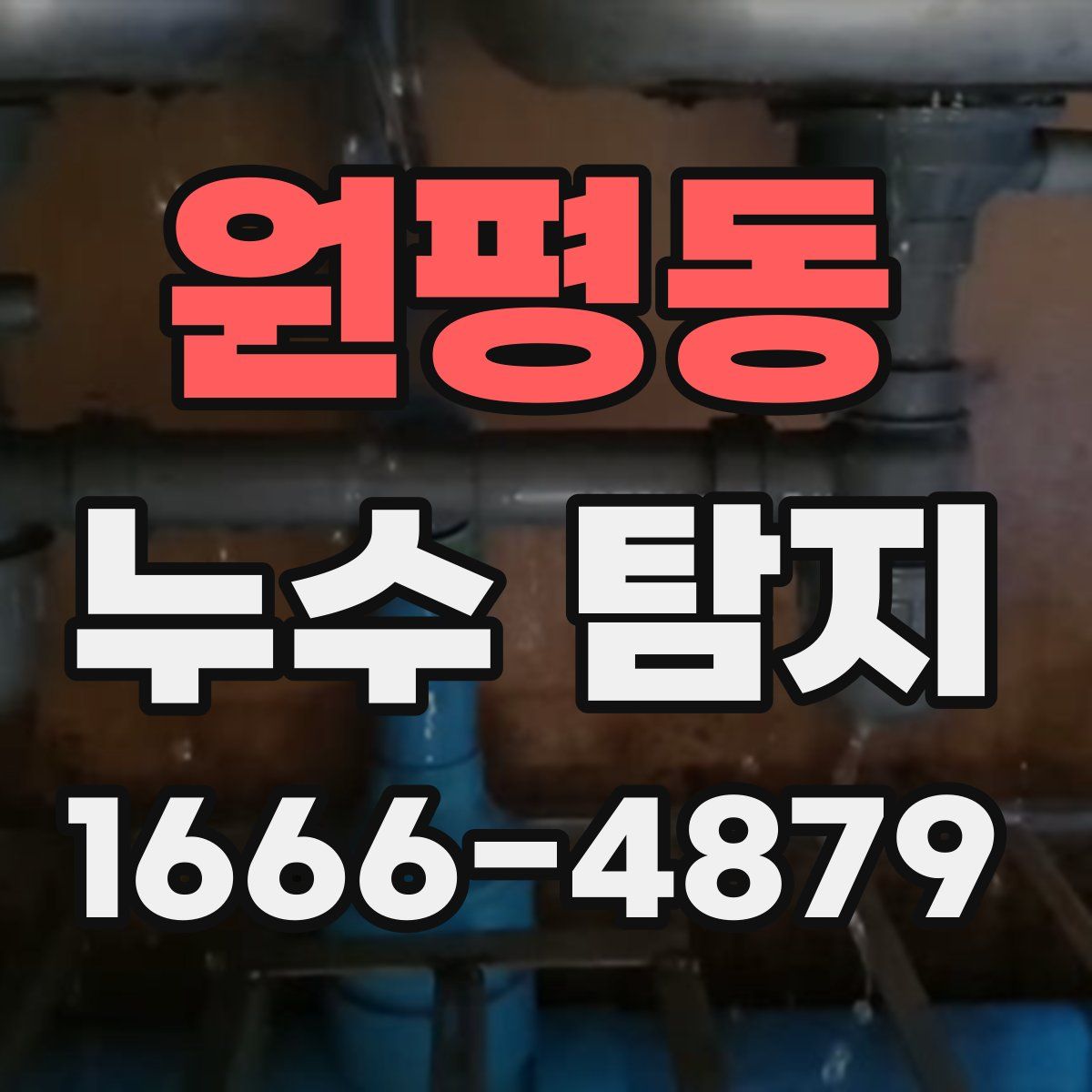 원평동 누수 탐지