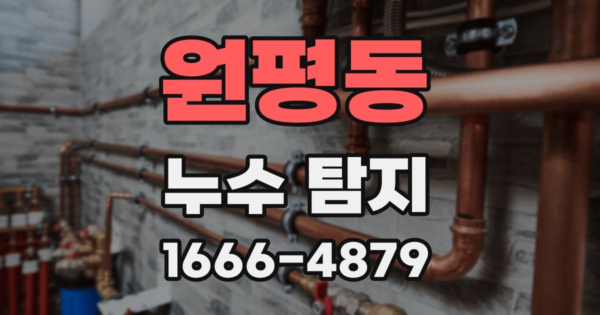 원평동 누수 탐지