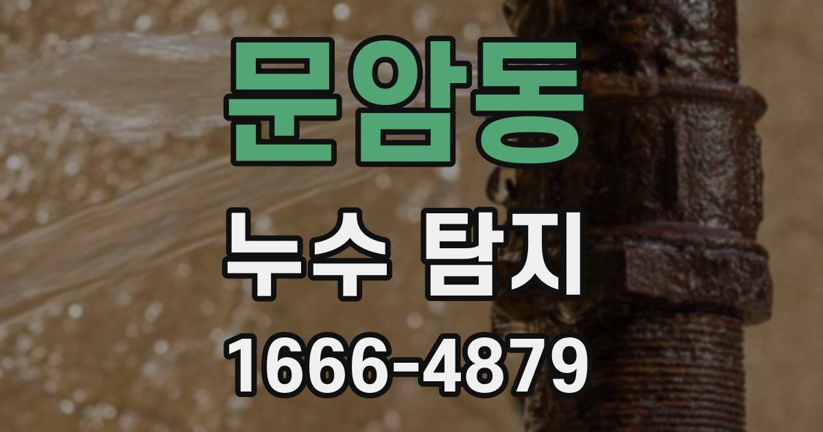 문암동 누수 탐지