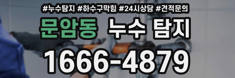 문암동 누수 탐지
