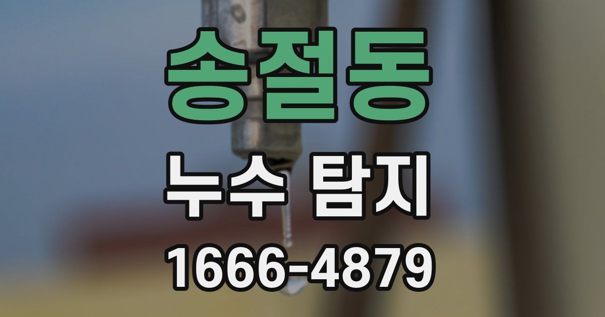 송절동 누수 탐지