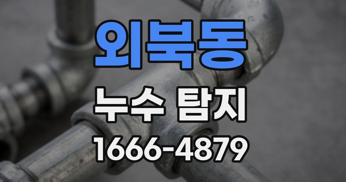 외북동 누수 탐지