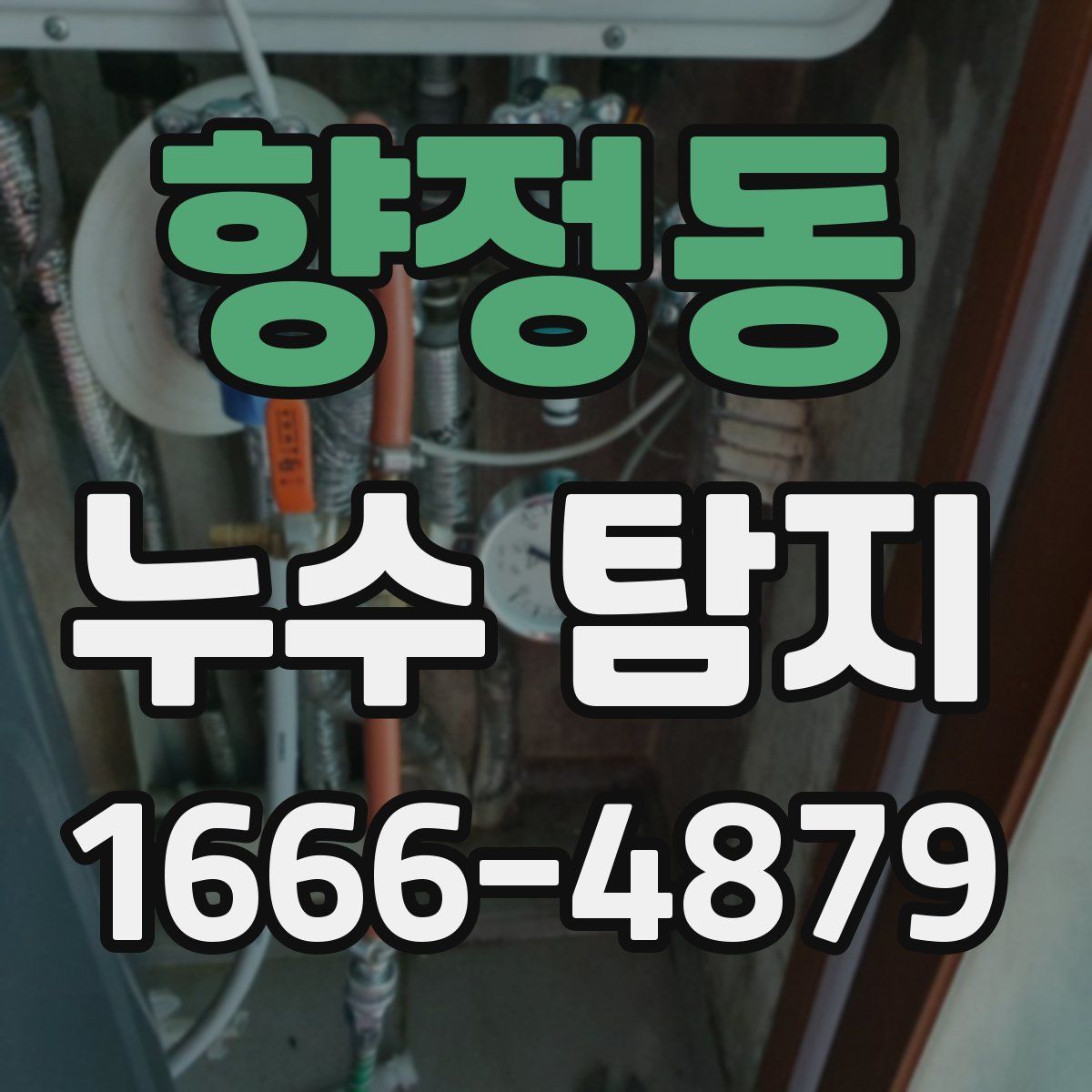 향정동 누수 탐지