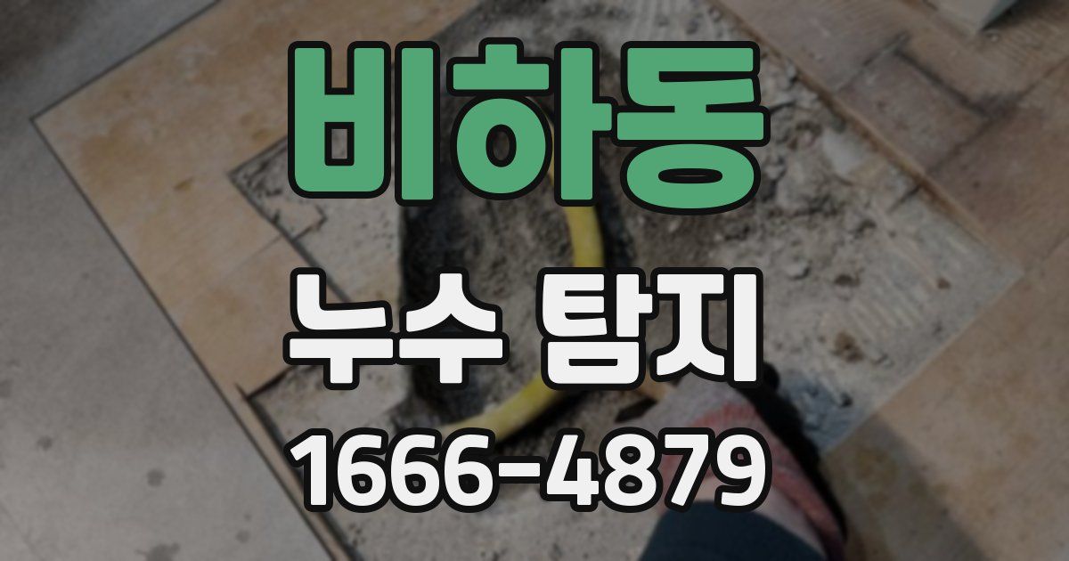 비하동 누수 탐지