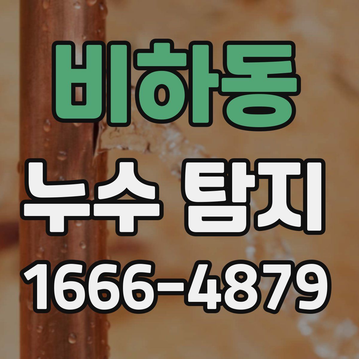 비하동 누수 탐지