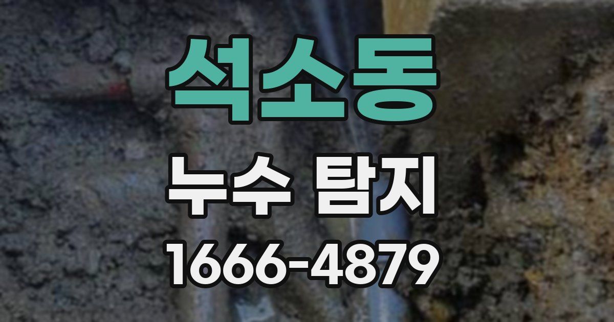 석소동 누수 탐지