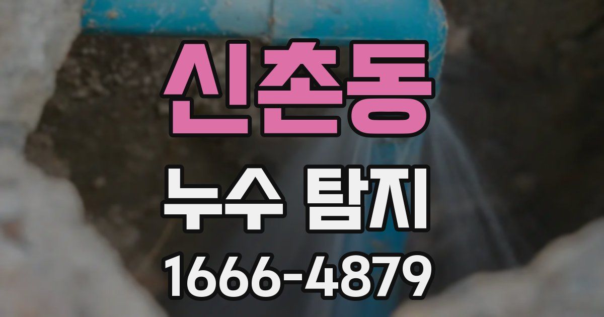 신촌동 누수 탐지