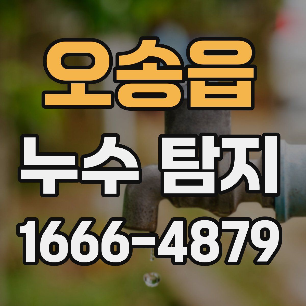 오송읍 누수 탐지