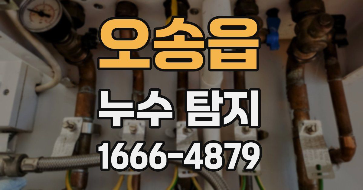 오송읍 누수 탐지