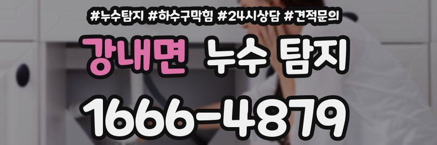 강내면 누수 탐지