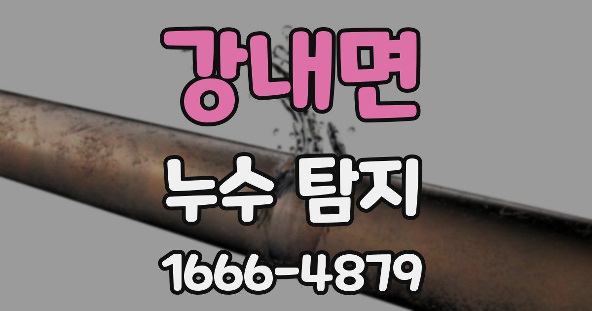 강내면 누수 탐지