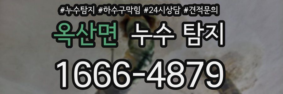옥산면 누수 탐지
