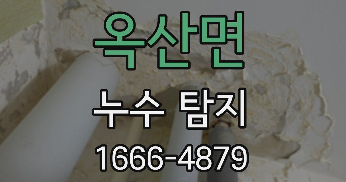 옥산면 누수 탐지