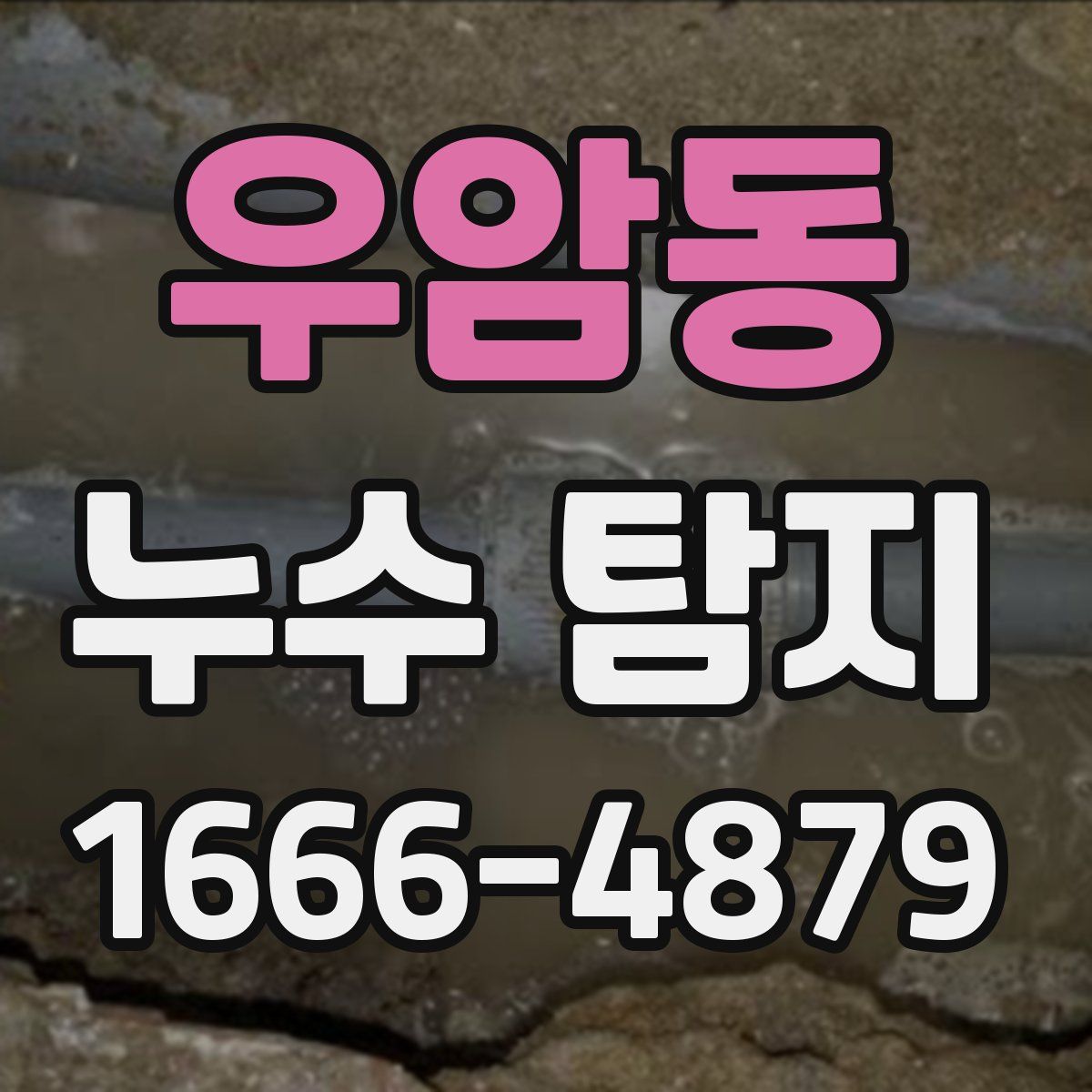 우암동 누수 탐지