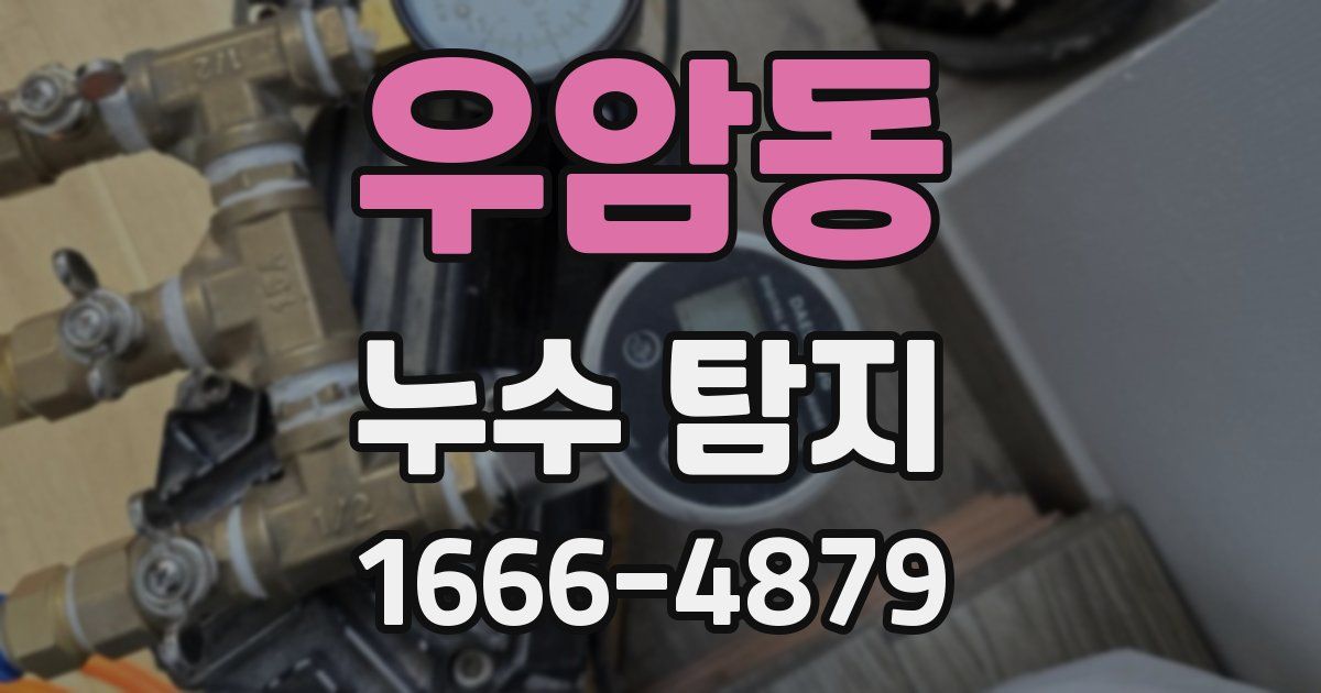 우암동 누수 탐지