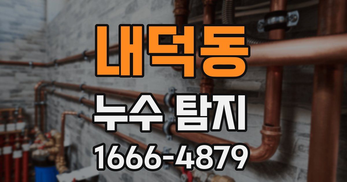 내덕동 누수 탐지