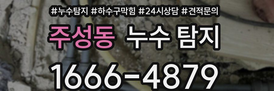 주성동 누수 탐지