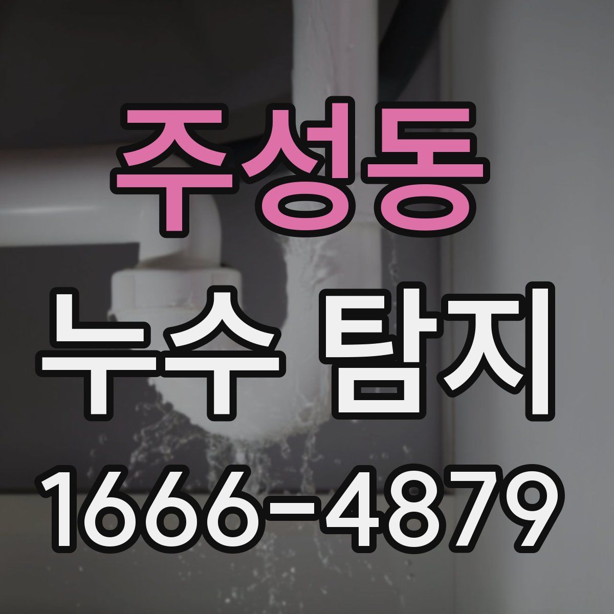 주성동 누수 탐지