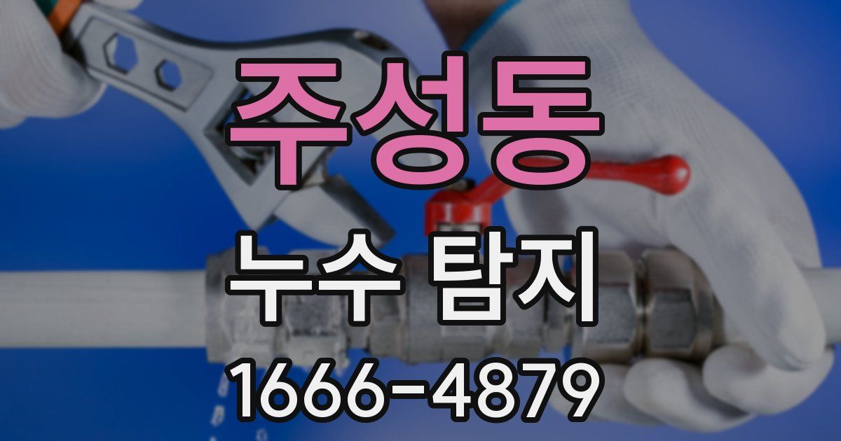 주성동 누수 탐지