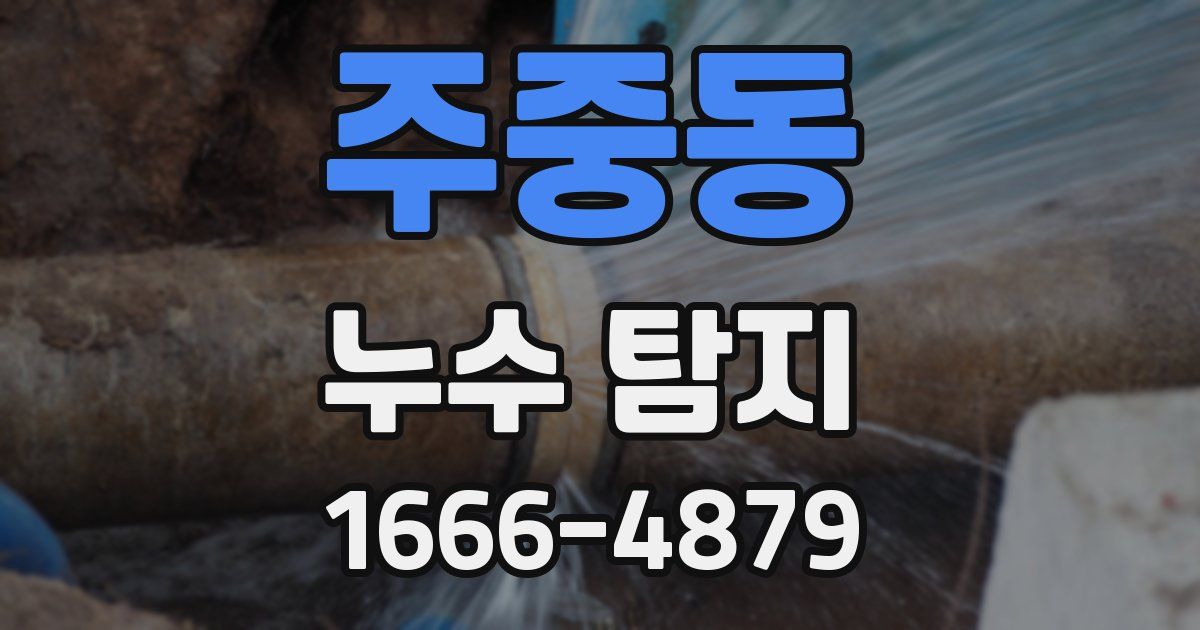 주중동 누수 탐지