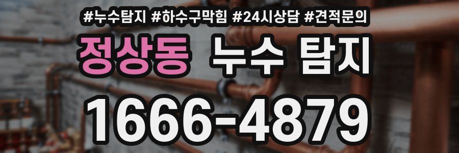 정상동 누수 탐지