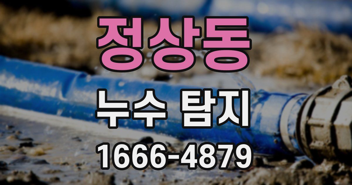 정상동 누수 탐지