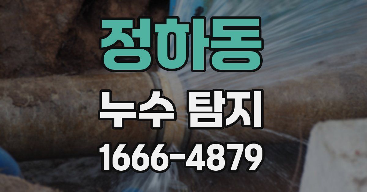 정하동 누수 탐지