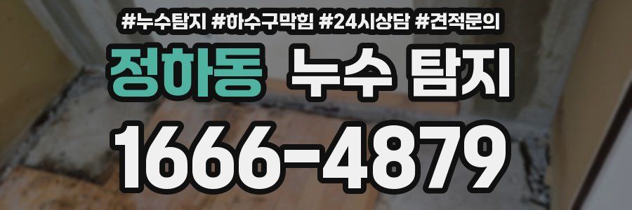 정하동 누수 탐지