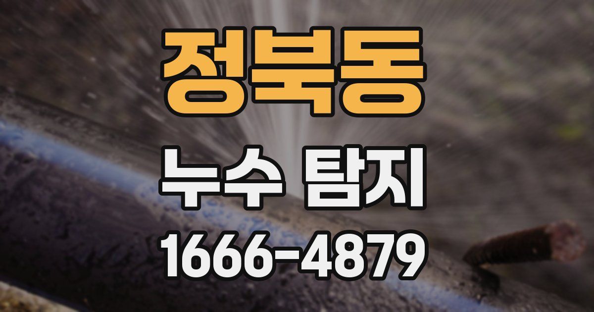 정북동 누수 탐지