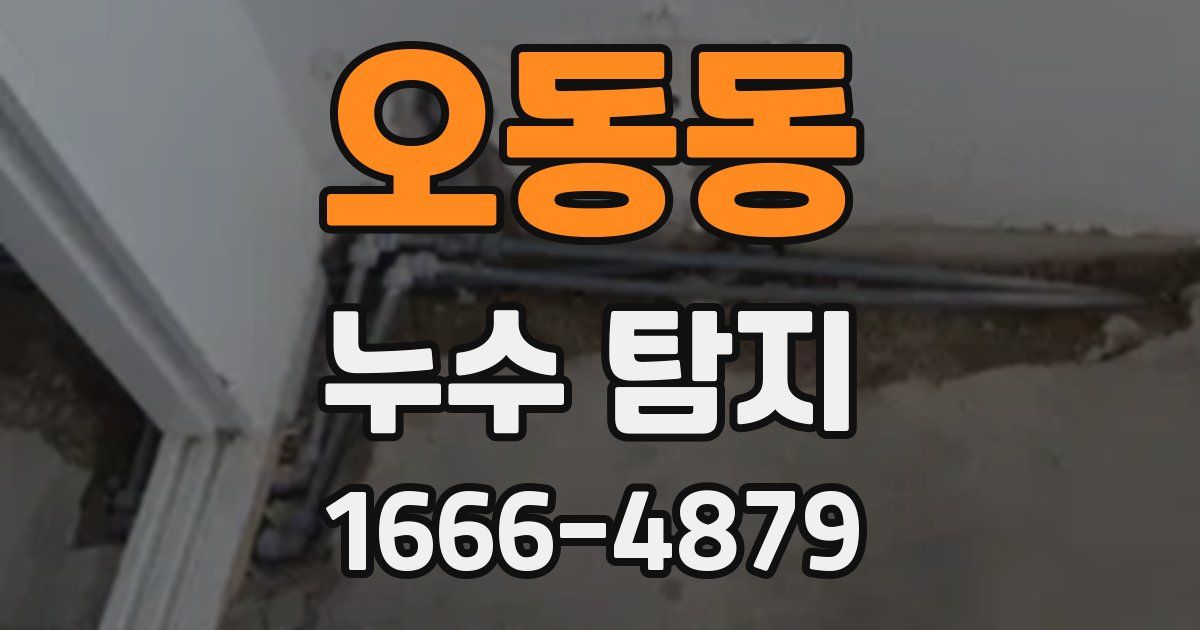 오동동 누수 탐지