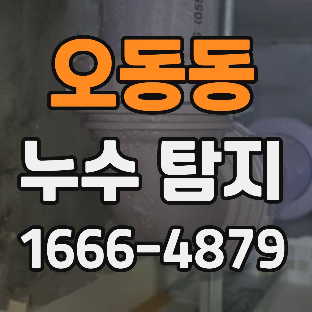 오동동 누수 탐지