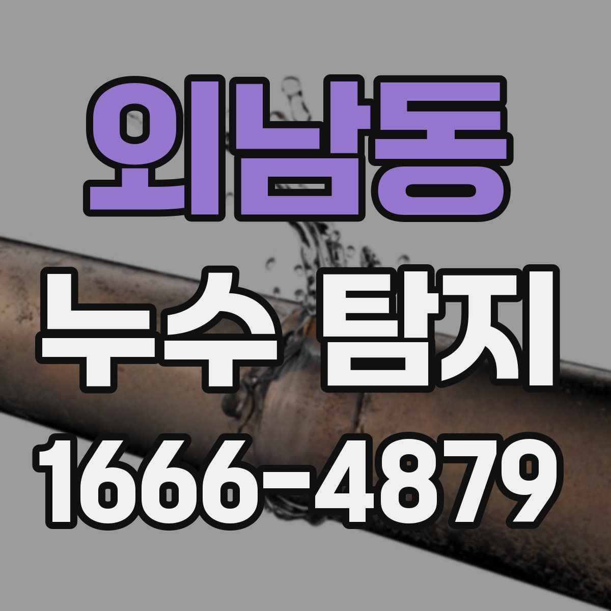 외남동 누수 탐지