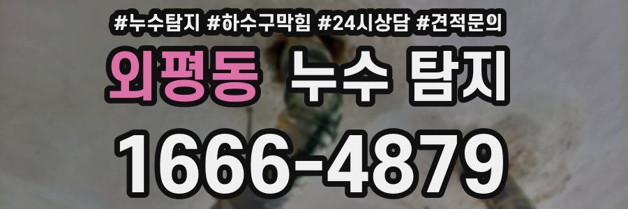 외평동 누수 탐지