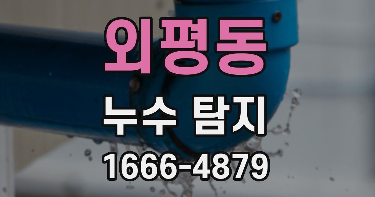 외평동 누수 탐지