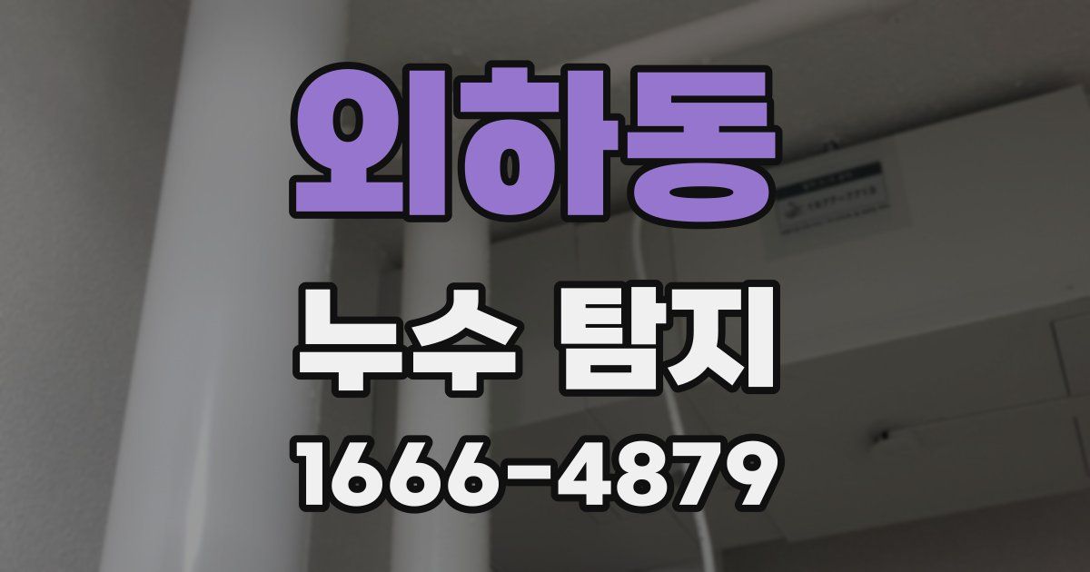외하동 누수 탐지