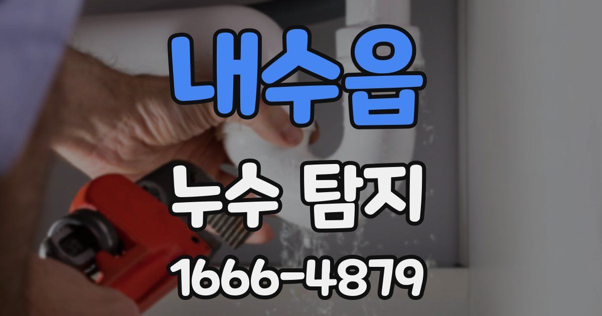 내수읍 누수 탐지
