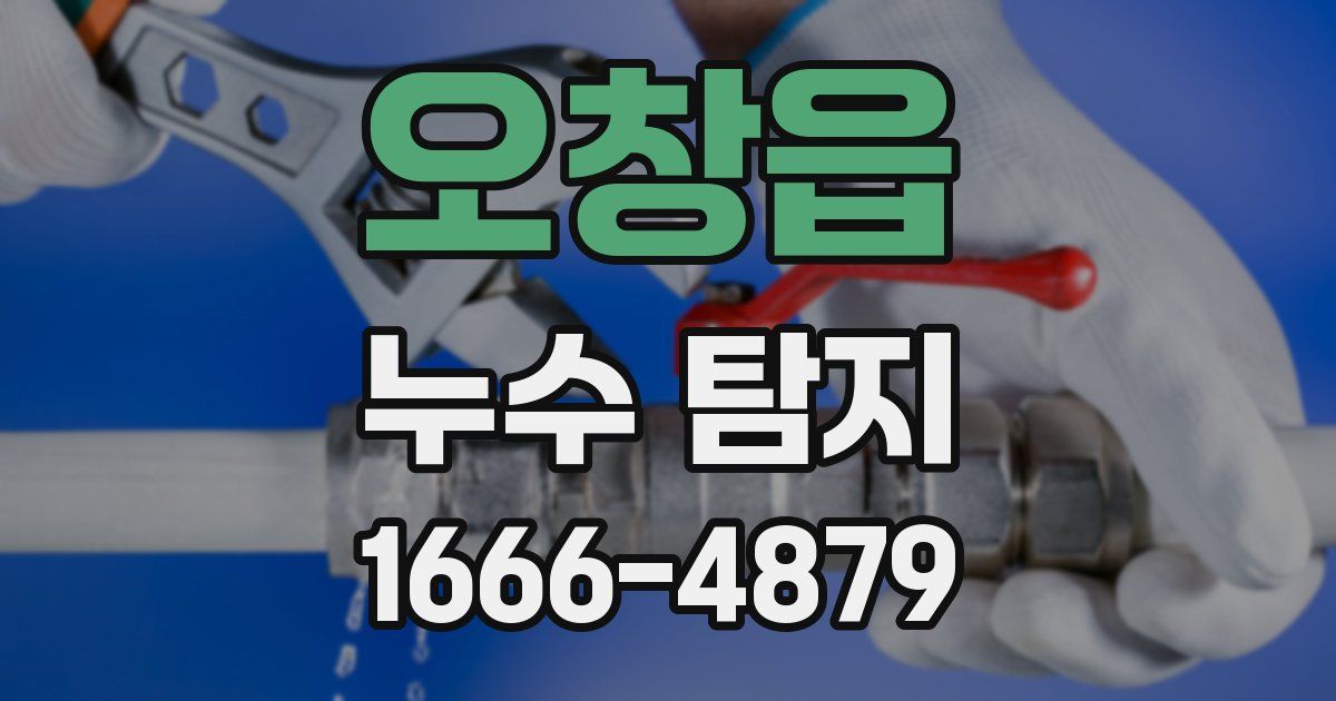 오창읍 누수 탐지